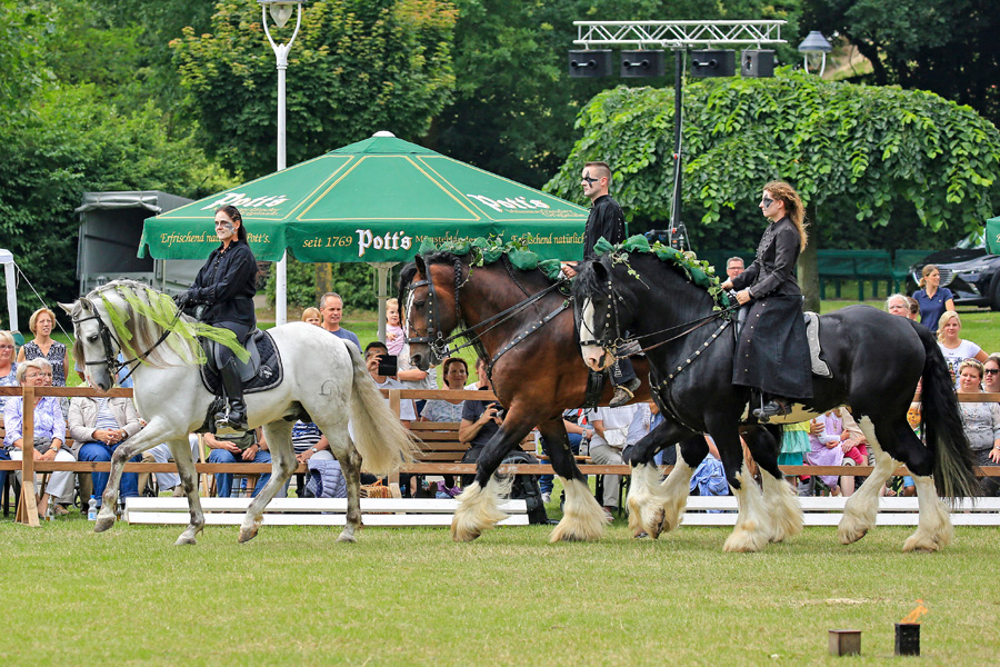 Tag am Wasser 2017, PRE Loreno, Shire Hengst Pride und Shire Hengst Oscar als "Drachenjäger"